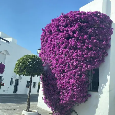 Homey Guadalvillas 91