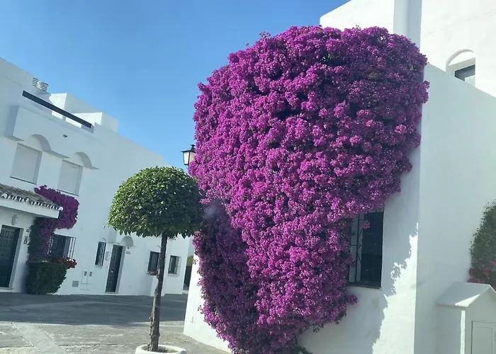 Homey Guadalvillas 91